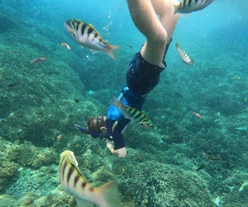 Sanur: Coastal Area Snorkeling Session