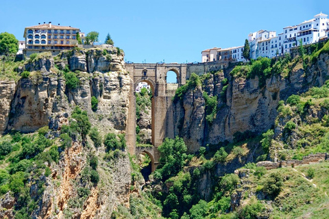 Seville: Ronda Private Round-Trip Transfer