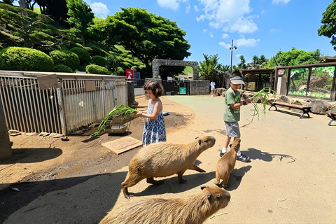 Small Group Day Tour:Omuro Mountain & the Izu Scenic Railway Hotel Transfer Option