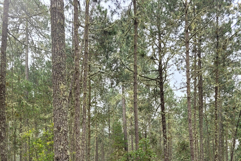 2-Day Sierra Norte Cloud Forest Adventure
