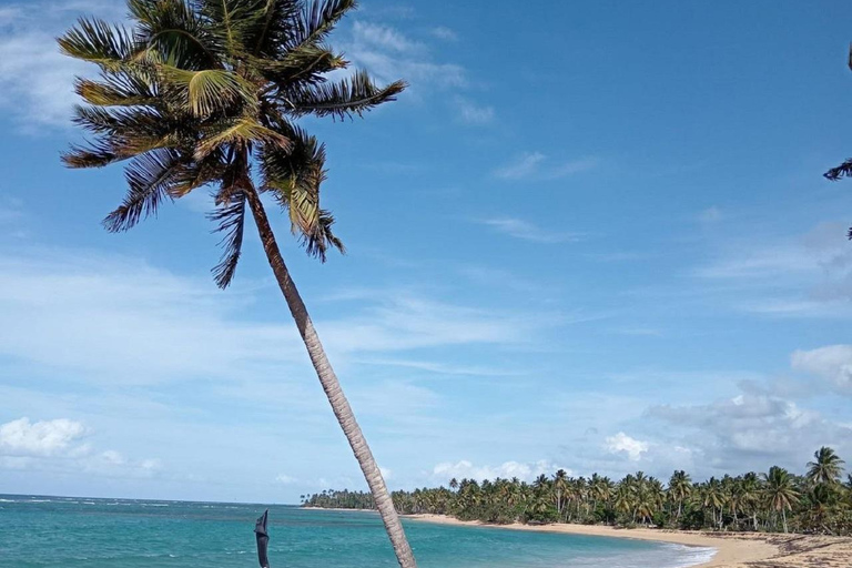 Puerto Plata: Catamaran Party with Snorkeling and Open Bar