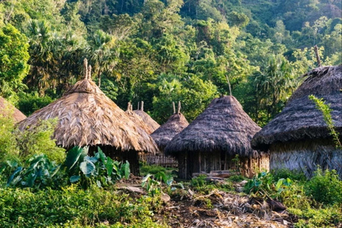 Privates Abenteuer in Taironaka: Abgeschiedenheit und Natur