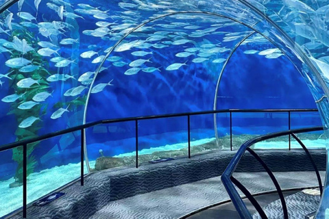 Shanghai: Ocean Aquarium Entry Ticket Night Ticket + Shanghai Sightseeing Bus