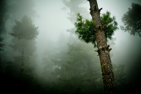 Kathmandu: 5-Day Spiritual Gosaikunda Guided Trek 5-Day Spiritual Gosaikunda Trek Full Package