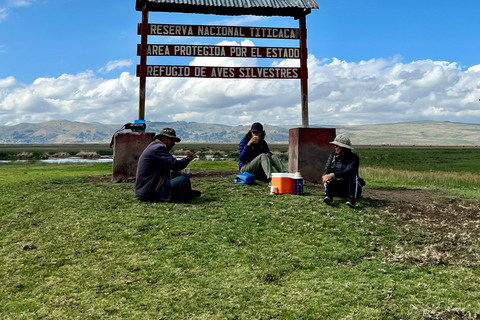 Yanico : Observation des oiseaux et repas en boîte.