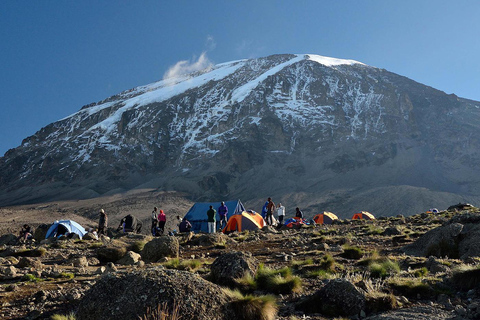 7 Daagse Kilimanjaro Beklimming Machame Route