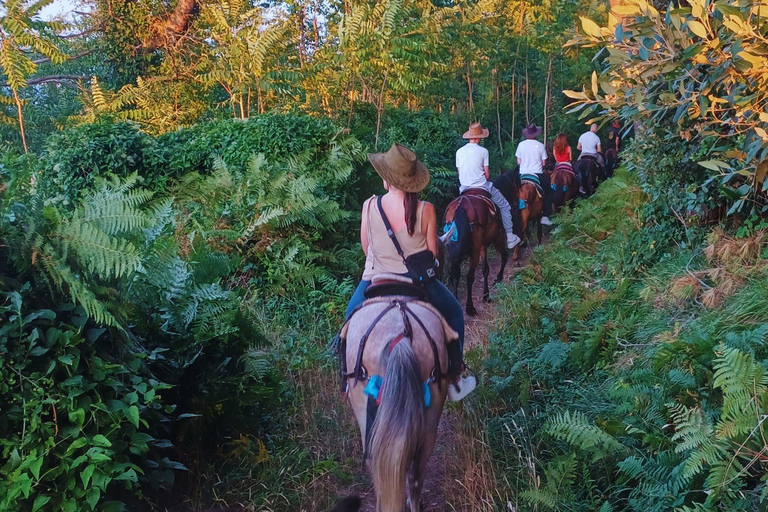 Sorrento: 3-godzinna przejażdżka konna po półwyspie Sorrento