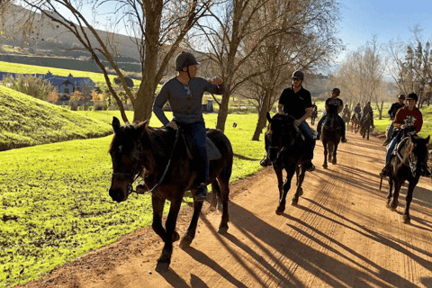 Vrede en Lust Wine Estate:1-Hour Horseback Riding Experience