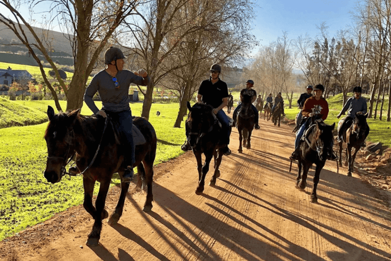 Vrede en Lust Wine Estate:1-Hour Horseback Riding Experience