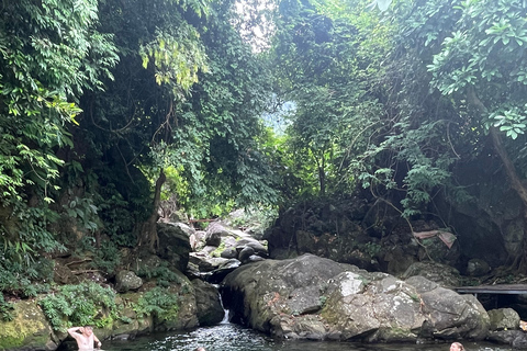 Easy Rider Adventure Tour via Hai Van Pass: Hue/DaNang/HoiAn
