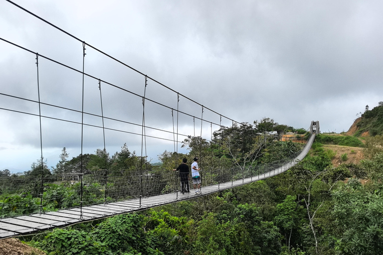 From Huatulco to Pluma Hidalgo: a gastronomic and natural immersion