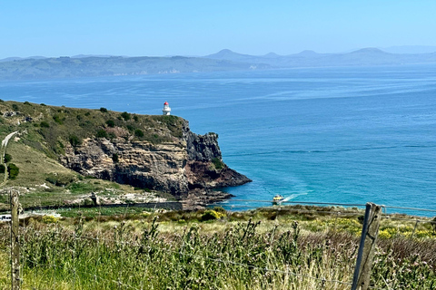 Private Dunedin City Highlights and Otago Peninsula Day Tour Private Dunedin city & Otago Peninsula day Tour (up to 4)