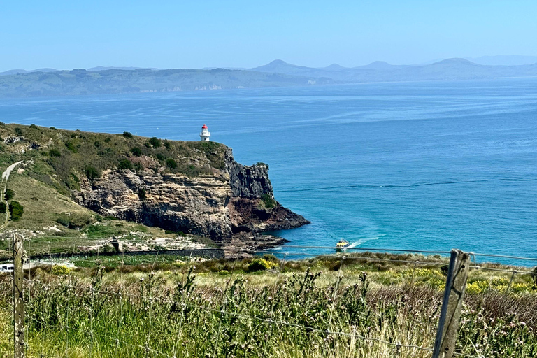 Private Dunedin City Highlights and Otago Peninsula Day Tour Private Dunedin city & Otago Peninsula day Tour (up to 4)