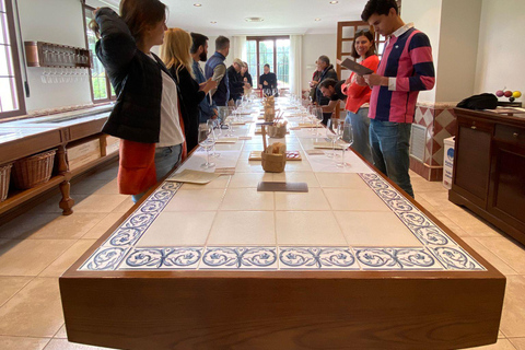 Excursão a Ribera del Duero: 2 adegas com transporte a partir de MadridExcursão à Ribera del Duero: 2 adegas com transporte saindo de Madrid