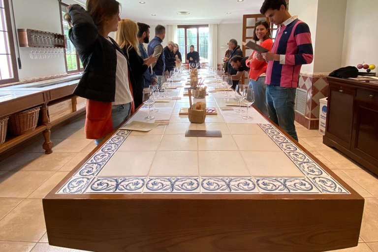 Excursão a Ribera del Duero: 2 adegas com transporte a partir de MadridExcursão à Ribera del Duero: 2 adegas com transporte saindo de Madrid