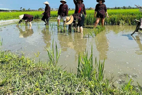 Hoi An Wet Rice Farming Tour-Basket båttur Fiske-Lunch