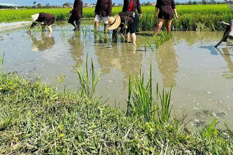 Hoi An Wet Rice Farming Tour-Mandenboottocht-Vissen-Lunch