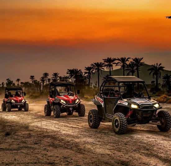 Marrakech: rij met een buggy in de woestijn van het palmbos - buggy