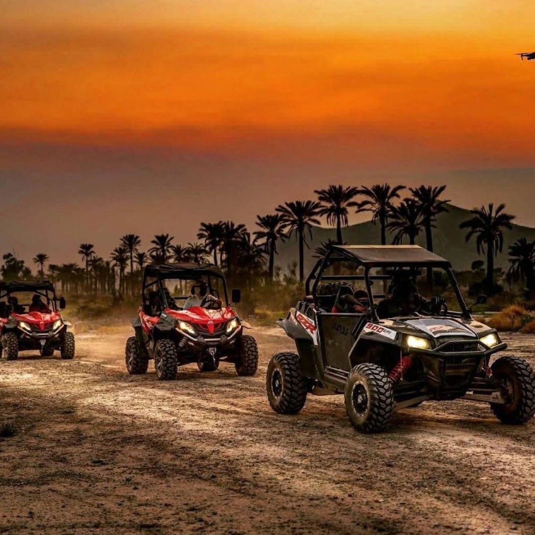 Marrakech: rij met een buggy in de woestijn van het palmbos - buggy