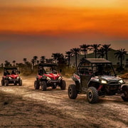 Marrakech Excursion Buggy in the Desert of the Palm Grove