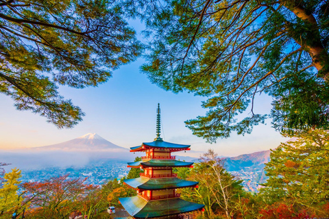 Tokyo: Mt Fuji Customizable Tour with Lakes & Pagoda