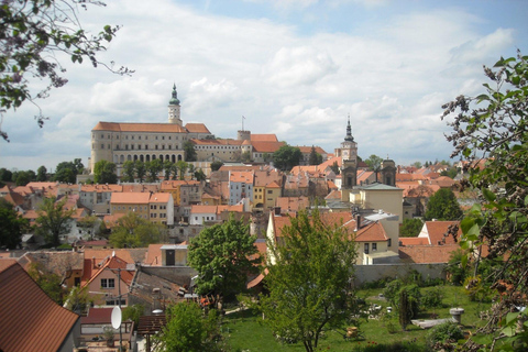 Bratislava: A Fairy Tale Day in Moravia’s Wine Country - CZ Private Group - from Bratislava