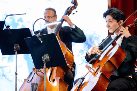 Vienna: concerto di Strauss dal vivo con cantante, orchestra e spettacolo di luciCategoria VIP: 1 - Seconda fila (incluso libretto del programma del concerto)