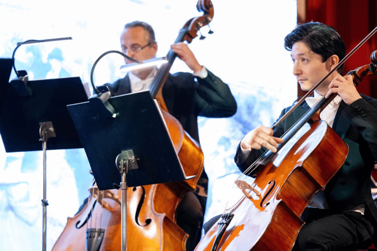Vienna: concerto di Strauss dal vivo con cantante, orchestra e spettacolo di luciCategoria VIP: 1 - Seconda fila (incluso libretto del programma del concerto)
