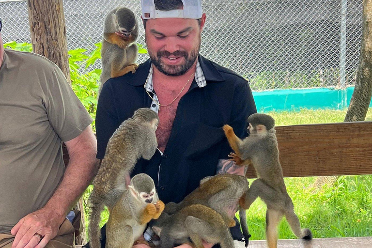 Puerto Plata: Saimiri Monkey Sanctuary, Exotic Flora, and Tropical Oasis
