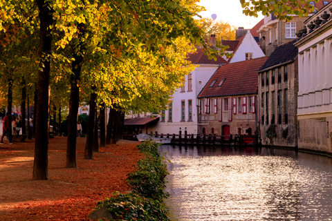 Bruges: Guided boat trip and walk