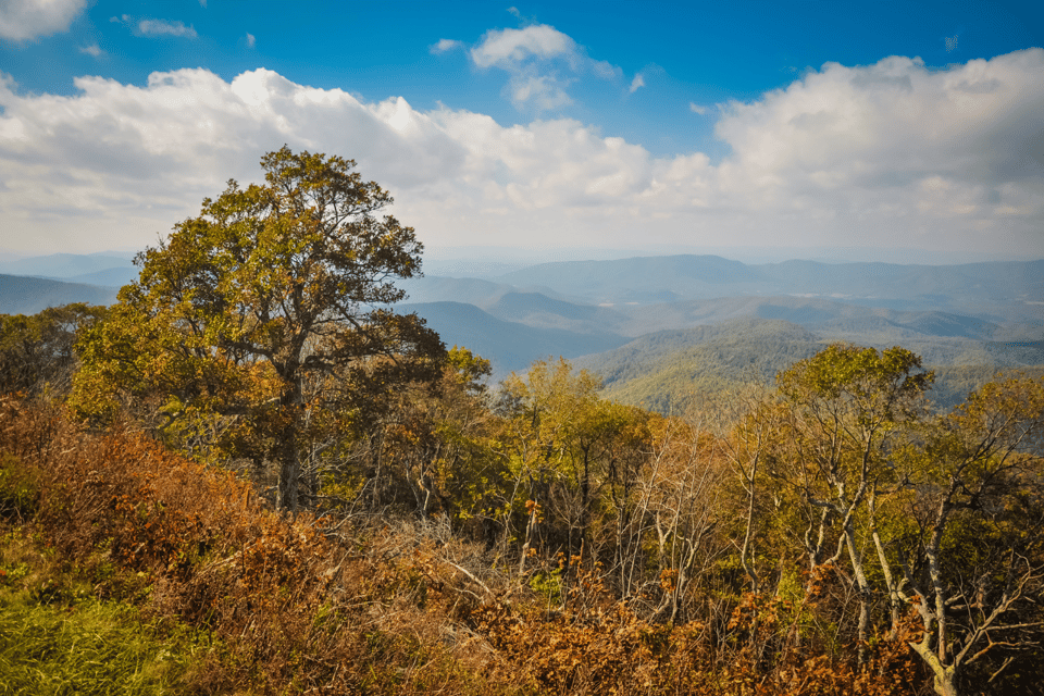 Blue Ridge Parkway – Fahraudio-Tour (Roanoke -Afton) - Hizvo