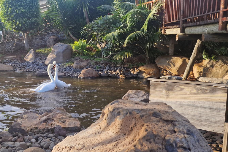 Bird Island sweet west tour