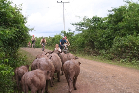 Luang Prabang: Excursión en bicicleta de montaña(2) Bicicleta de montaña / Kayak / Crucero al atardecer por el Mekong