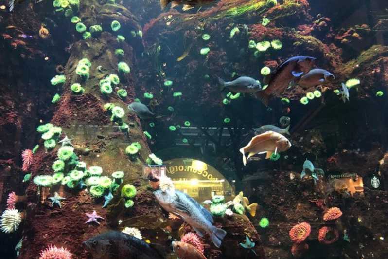 Private Vancouver Aquarium and Bloedel Conservatory Tour