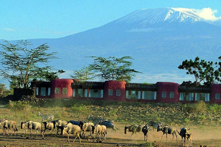 Olifantentocht: 3-daagse kampeerervaring in AmboseliElephant Trail: driedaagse Amboseli-kampeerervaring