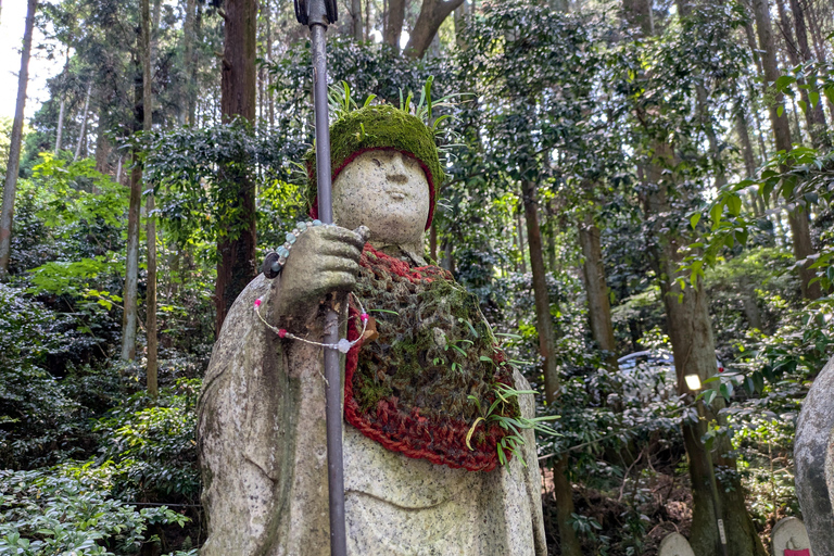 From Osaka: Horyuji Temple and Mount Ikoma Day Tour