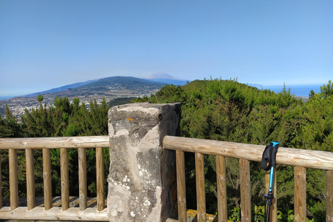 Puerto de la Cruz: Foresta di Avatar -Taganana-Teresitas+coda