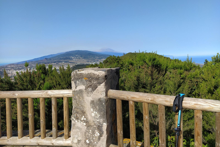 Puerto de la Cruz: Foresta di Avatar -Taganana-Teresitas+coda