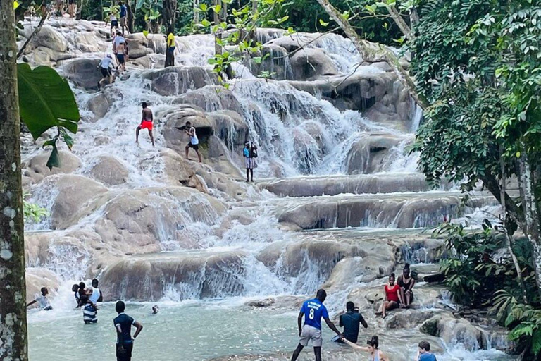 Montego Bay : Visite privée des chutes de la rivière Dunn et du trou bleu