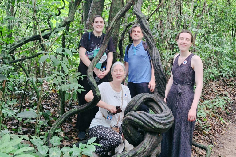 Tour de 1 dia pelo Mekong Can Tho - Mercado flutuante e túneis de Cu Chi[Preço da excursão em grupo] A partir de 5 pessoas, o custo é de 80 dólares por pessoa