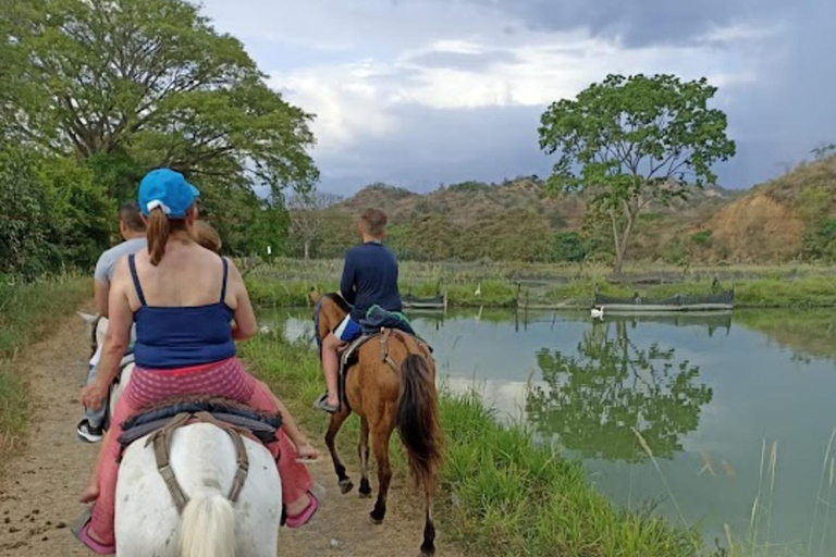 MEDELLIN: PASSEIO A SAN JERONIMO + ECOPARQUE GAITERO + PISCINA