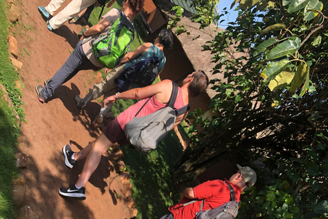 Kampala/Entebbe: Ngamba Island Chimps Sanctuary Tour