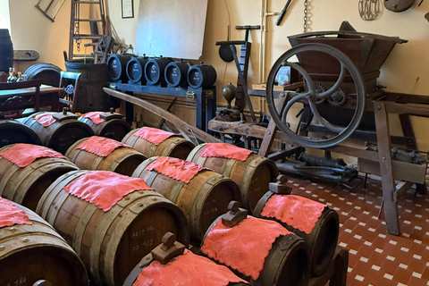 Modena: Balsamic Vinegar Cellar Tour, Tasting & Food Pairing Castelfranco Emilia: Modena Balsamic Vinegar Cellar Visit