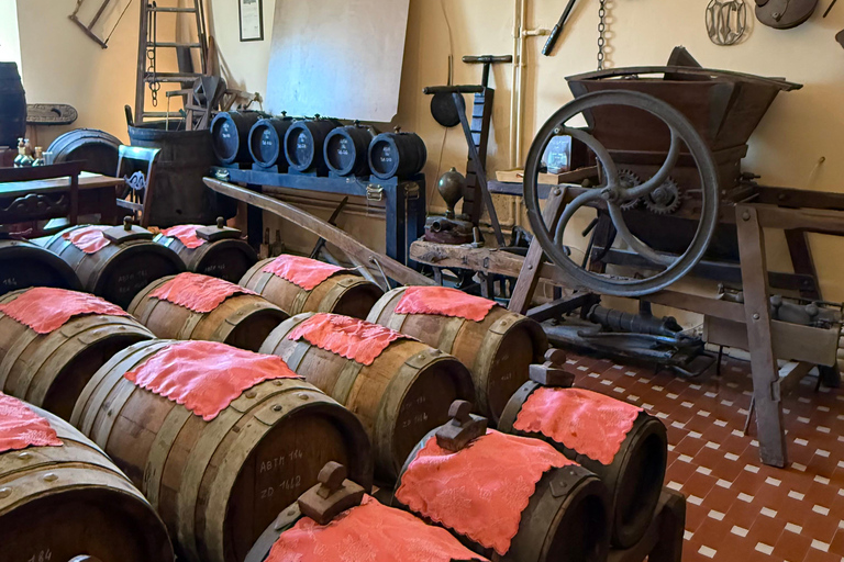 Modena: Balsamic Vinegar Cellar Tour, Tasting & Food Pairing Castelfranco Emilia: Modena Balsamic Vinegar Cellar Visit