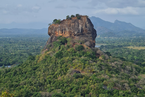 From Colombo: Sigiriya Rock Fortress Day Trip with Lunch