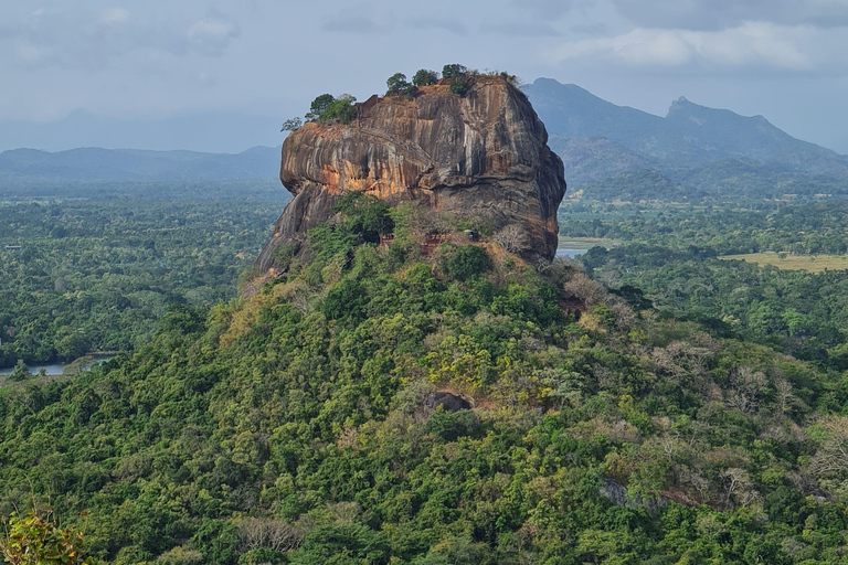 From Colombo: Sigiriya Rock Fortress Day Trip with Lunch
