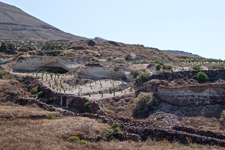 圣托里尼：有机农场私人农业教育之旅圣托里尼岛：私人农业教育参观有机农场
