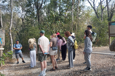 Bacalar: Calakmul Ruins Day Trip with a Stop In The Jungle