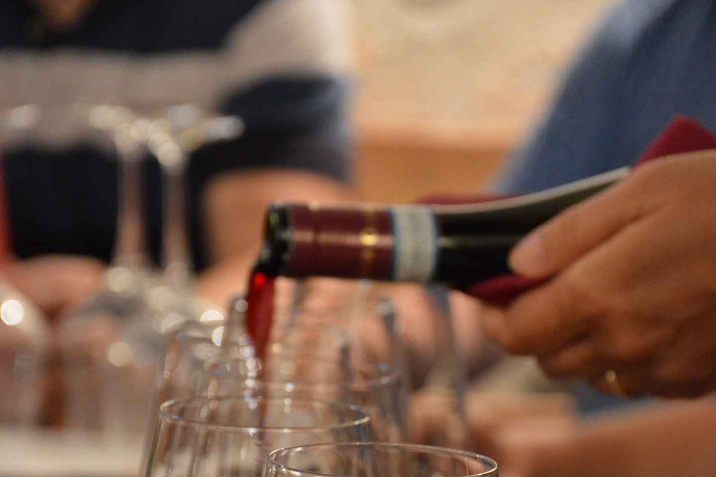 Valpolicella in the round: tasting of typical Valpolicella wines