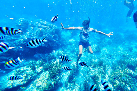 El Nido: Highlights of A, C and D Tour by Speedboat El Nido: A/C/D Highlights Speedboat Tour